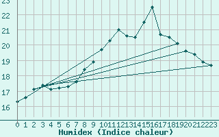 Courbe de l'humidex pour Tarifa