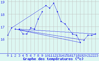 Courbe de tempratures pour Hoburg A