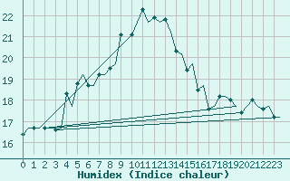 Courbe de l'humidex pour Firenze / Peretola