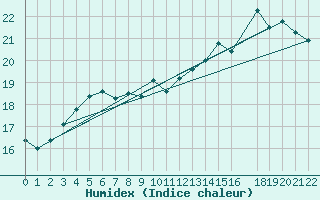Courbe de l'humidex pour Anvers (Be)