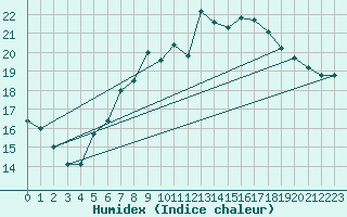 Courbe de l'humidex pour Wiesenburg