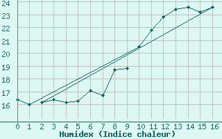 Courbe de l'humidex pour Wdenswil