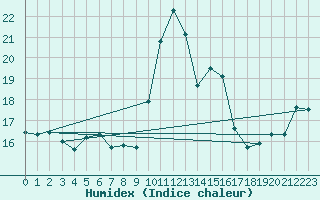 Courbe de l'humidex pour Amur (79)