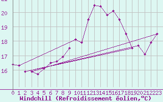 Courbe du refroidissement olien pour Hoek Van Holland
