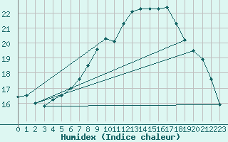 Courbe de l'humidex pour Wiesenburg