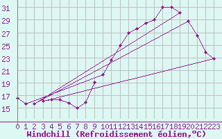 Courbe du refroidissement olien pour Tthieu (40)