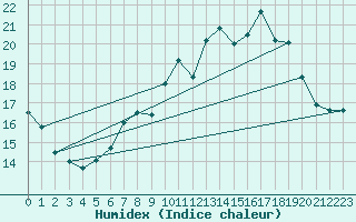 Courbe de l'humidex pour Larkhill