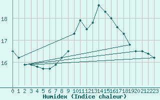 Courbe de l'humidex pour Bedford