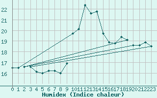 Courbe de l'humidex pour Alicante