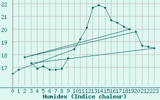 Courbe de l'humidex pour Montauban (82)