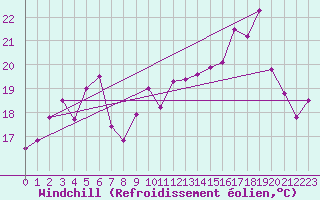 Courbe du refroidissement olien pour Ile Rousse (2B)