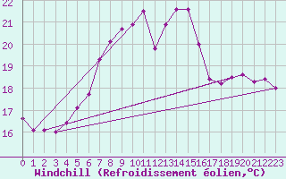 Courbe du refroidissement olien pour Weihenstephan