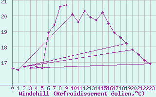 Courbe du refroidissement olien pour Machichaco Faro