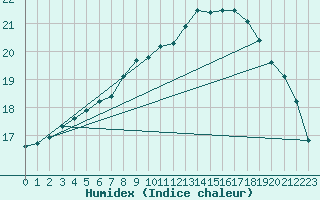 Courbe de l'humidex pour Wittenberg