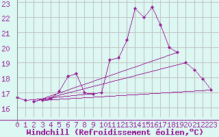 Courbe du refroidissement olien pour Mlawa