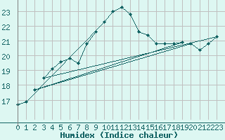 Courbe de l'humidex pour Palascia