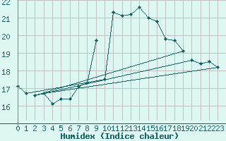 Courbe de l'humidex pour Zeebrugge