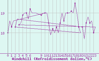Courbe du refroidissement olien pour Platform P11-b Sea