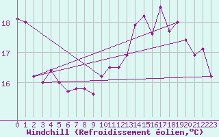 Courbe du refroidissement olien pour Le Touquet (62)