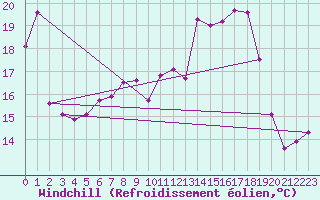 Courbe du refroidissement olien pour Weihenstephan