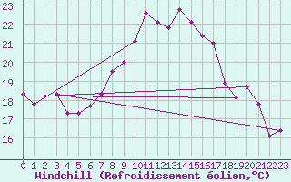 Courbe du refroidissement olien pour Offenbach Wetterpar