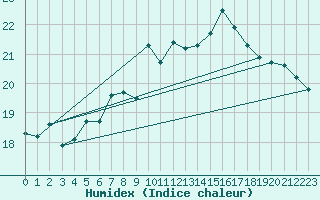 Courbe de l'humidex pour Braunlage