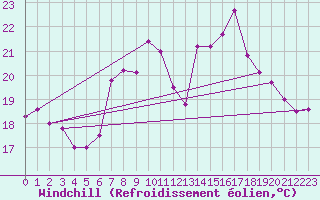 Courbe du refroidissement olien pour Bregenz