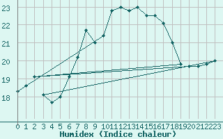 Courbe de l'humidex pour Trapani / Birgi