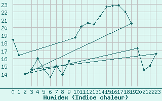 Courbe de l'humidex pour Muret (31)