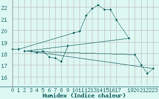 Courbe de l'humidex pour Sint Katelijne-waver (Be)