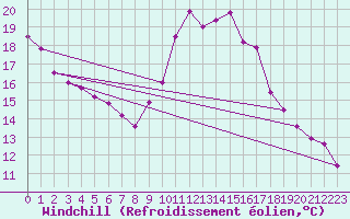 Courbe du refroidissement olien pour Lille (59)