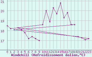 Courbe du refroidissement olien pour Le Talut - Belle-Ile (56)