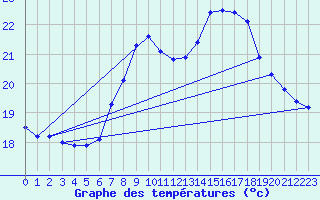 Courbe de tempratures pour Ostroleka