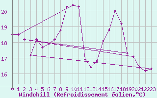 Courbe du refroidissement olien pour Weiden