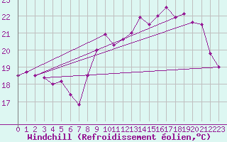 Courbe du refroidissement olien pour Le Talut - Belle-Ile (56)