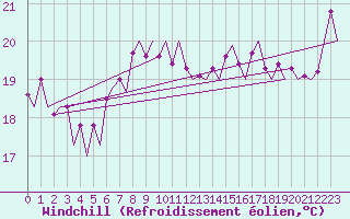 Courbe du refroidissement olien pour Platform Awg-1 Sea
