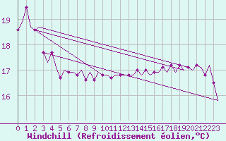 Courbe du refroidissement olien pour Platform P11-b Sea