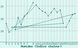 Courbe de l'humidex pour Skagen