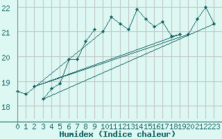 Courbe de l'humidex pour Kotka Haapasaari
