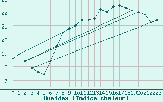 Courbe de l'humidex pour Woluwe-Saint-Pierre (Be)