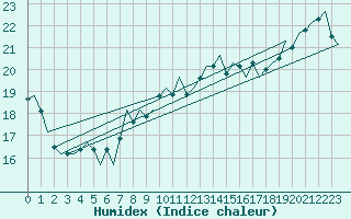 Courbe de l'humidex pour Le Goeree