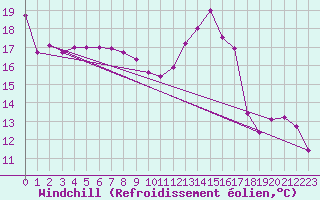 Courbe du refroidissement olien pour Cognac (16)