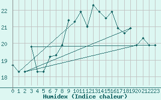 Courbe de l'humidex pour Ovar / Maceda