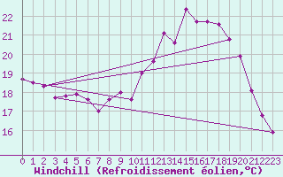 Courbe du refroidissement olien pour Lille (59)