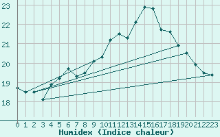 Courbe de l'humidex pour Anholt