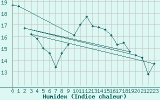 Courbe de l'humidex pour Tarifa