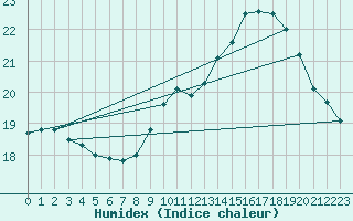 Courbe de l'humidex pour Monts-sur-Guesnes (86)