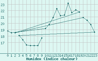 Courbe de l'humidex pour Plussin (42)