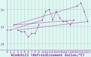 Courbe du refroidissement olien pour Zeebrugge
