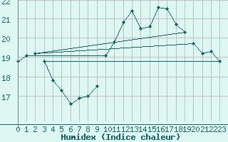 Courbe de l'humidex pour Tarifa
